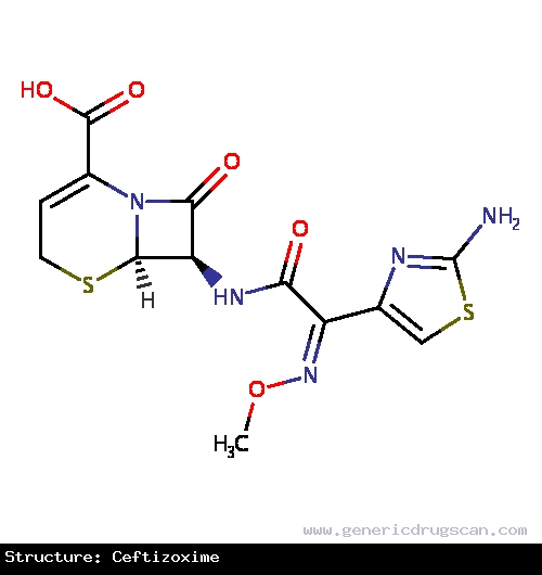 Generic Drug Ceftizoxime prescribed For the treatment of infections due to susceptible strains of microorganisms.