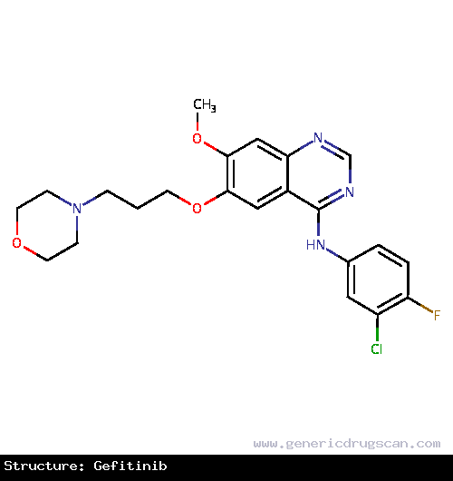 Generic Drug Gefitinib prescribed For the continued treatment of patients with locally advanced or metastatic non-small cell lung cancer after failure of either platinum-based or do...